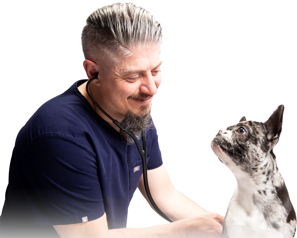 Services Florida Affordable Veterinary Services